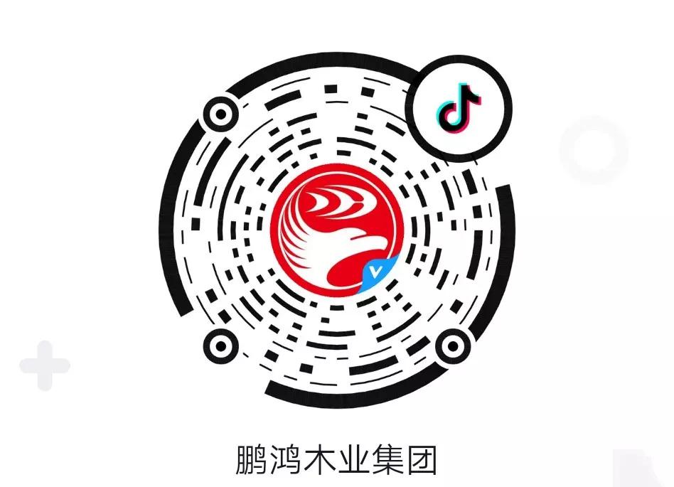 這廂有禮丨這個春節(jié)我最鴻，抖音相伴幸福年